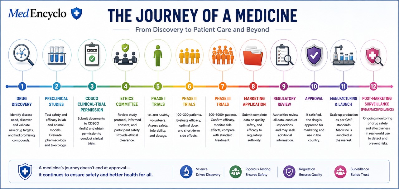 Drug Development Timeline